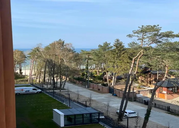 In With Access 포비에로보